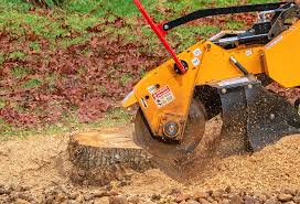 Best Aeration Services  in Washington Heights, NY